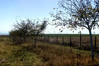 Земеделски имот в Шумен, с. Избул