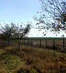 Земеделски имот в Шумен, с. Избул