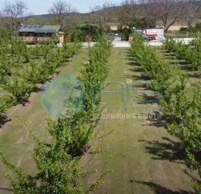 Photo 3 — Agricultural Land in Oblast Shumen, Osmar