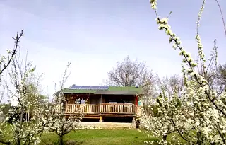 Земеделски имот в Шумен, с. Осмар