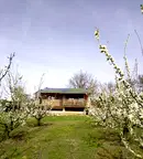 Земеделски имот в Шумен, с. Осмар
