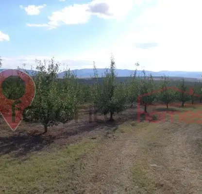 Photo 3 — Agricultural Land in Oblast Shumen, Osmar