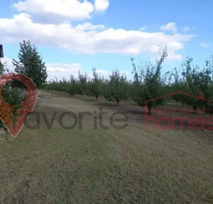 Photo 4 — Agricultural Land in Oblast Shumen, Osmar