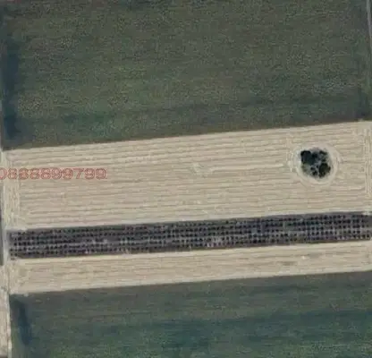 Photo 2 — Agricultural Land in Oblast Silistra, Chernolik