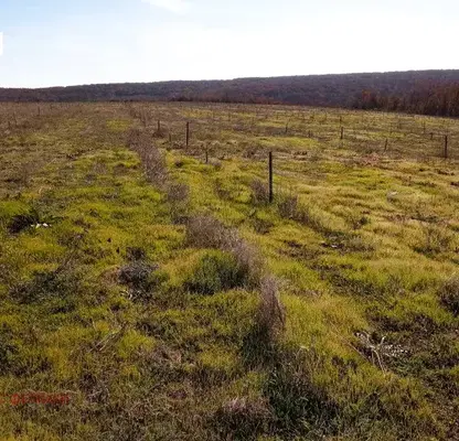 Photo 2 — Agricultural Land in Oblast Varna, Aksakovo