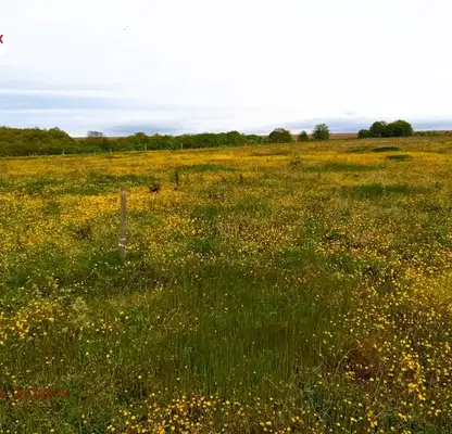 Photo 3 — Agricultural Land in Oblast Varna, Aksakovo