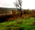 Снимка 4 — Земеделски имот във Варна, с. Генерал Колево