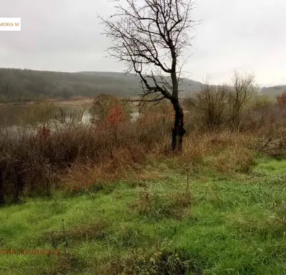 Photo 3 — Orchard in Varna, General Kolevo