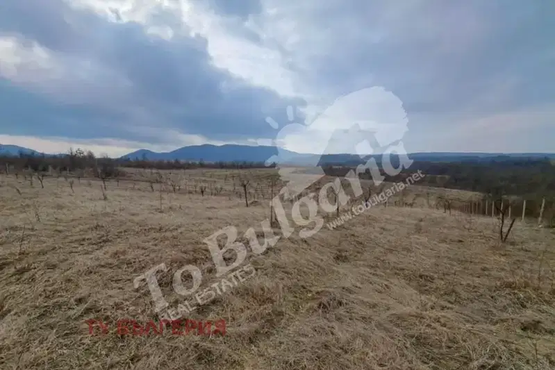 Земеделски имот във Велико Търново, Елена
