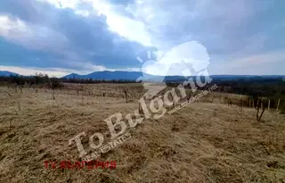 Земеделски имот във Велико Търново, Елена