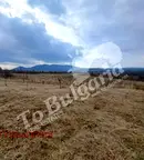 Земеделски имот във Велико Търново, Елена