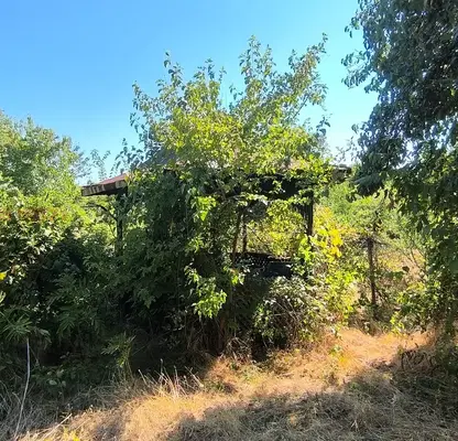 Photo 4 — Agricultural Land in Oblast Vidin, Tiyanovci