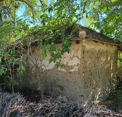 Photo 5 — Agricultural Land in Oblast Vidin, Tiyanovci