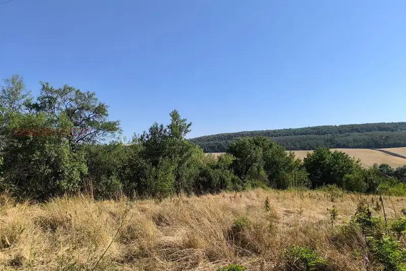 Agricultural Land in Oblast Vidin, Tiyanovci