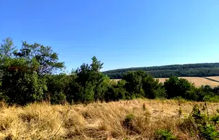 Земеделски имот във Видин, с. Тияновци