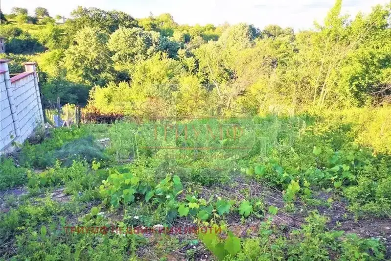 Plot in Zvezdica