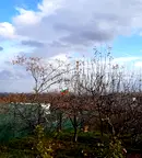 Парцел в Студентско че