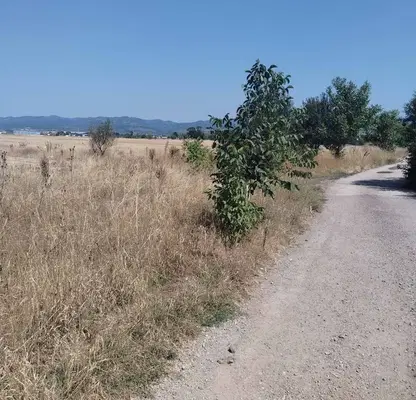 Photo 2 — Plot in Chepinci