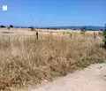 Снимка 3 — Парцел в с. Чепинци