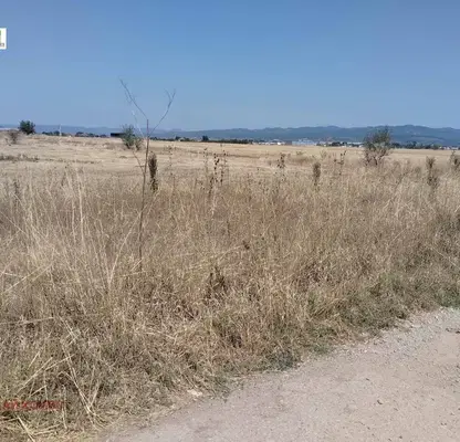 Photo 3 — Plot in Chepinci