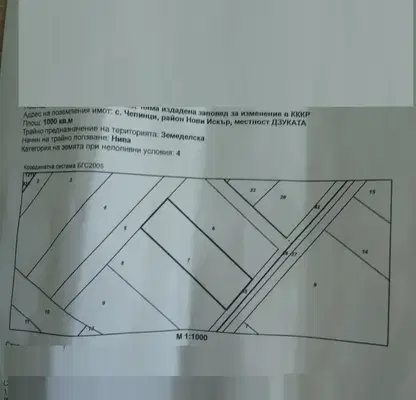 Photo 4 — Plot in Chepinci