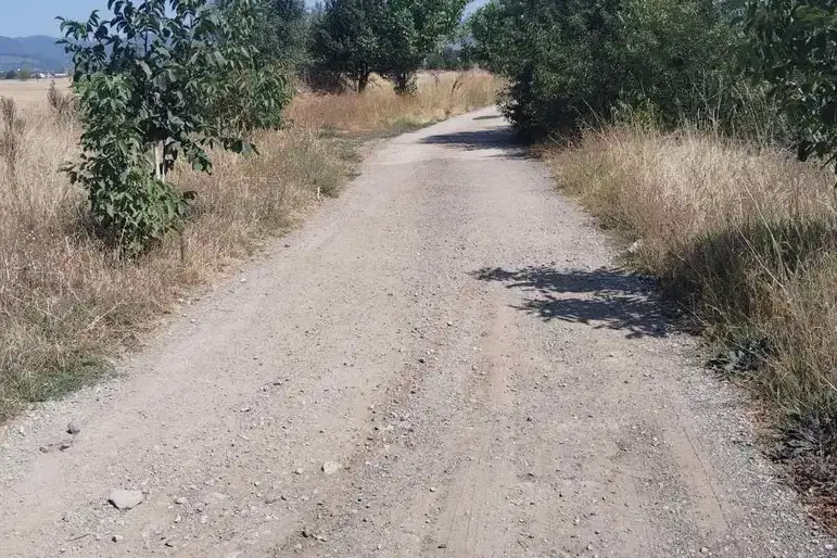 Plot in Chepinci