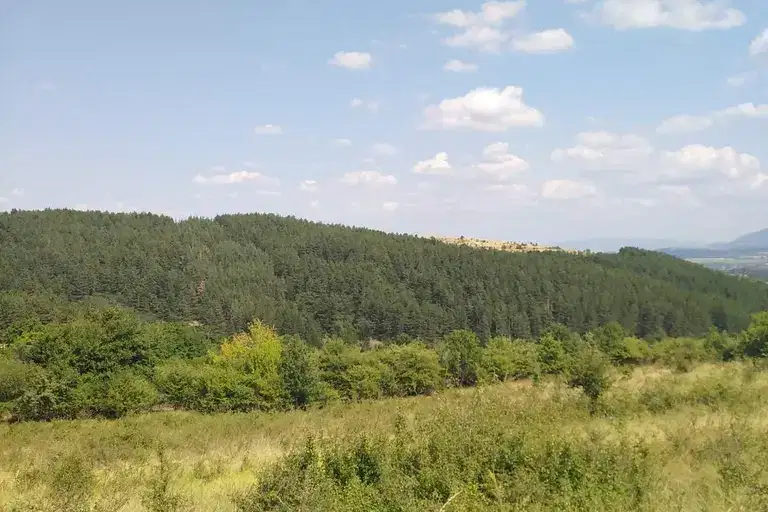 Plot in Klisura