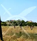 Парцел в с. Изворище