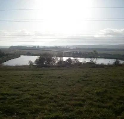 Photo 2 — Plot in Ivanyane