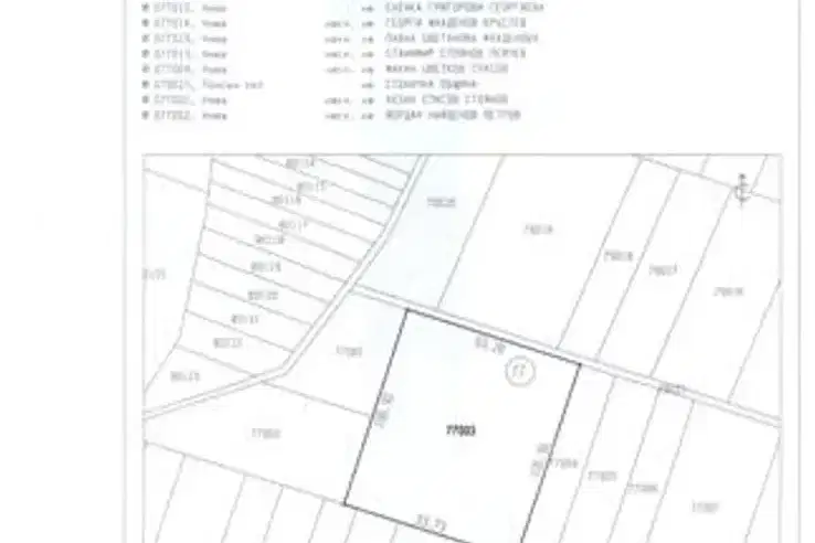 Plot in Ivanyane