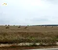 Снимка 2 — Парцел в с. Лозен