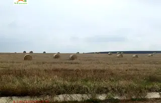 Парцел в с. Лозен