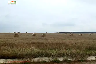 Парцел в с. Лозен