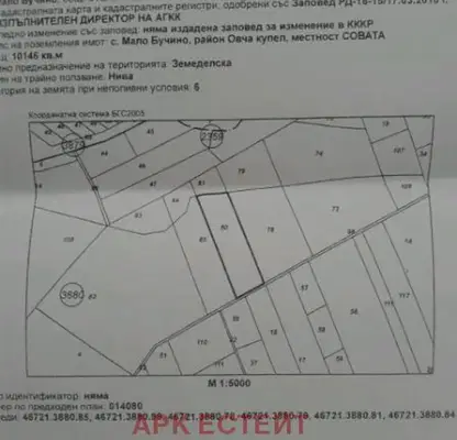 Photo 5 — Plot in Malo Buchino