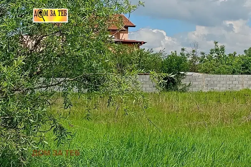 Plot in Mirovyane