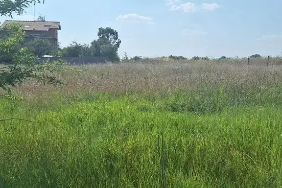 Plot in Mirovyane