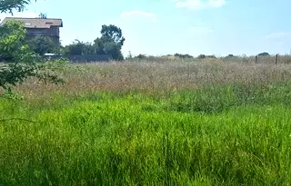 Парцел в с. Мировяне
