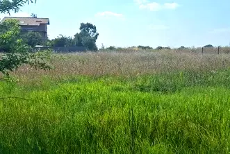 Парцел в с. Мировяне