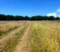 Снимка 5 — Парцел в Банкя