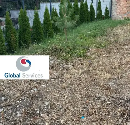 Photo 4 — Plot in Pancharevo