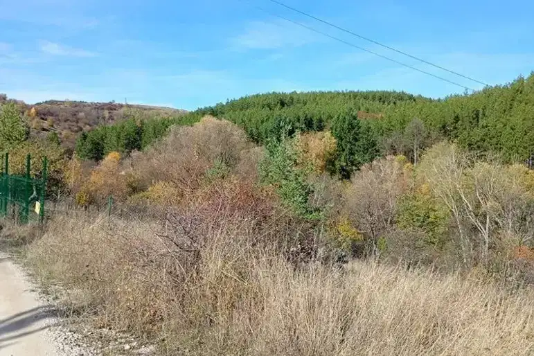 Plot in Klisura