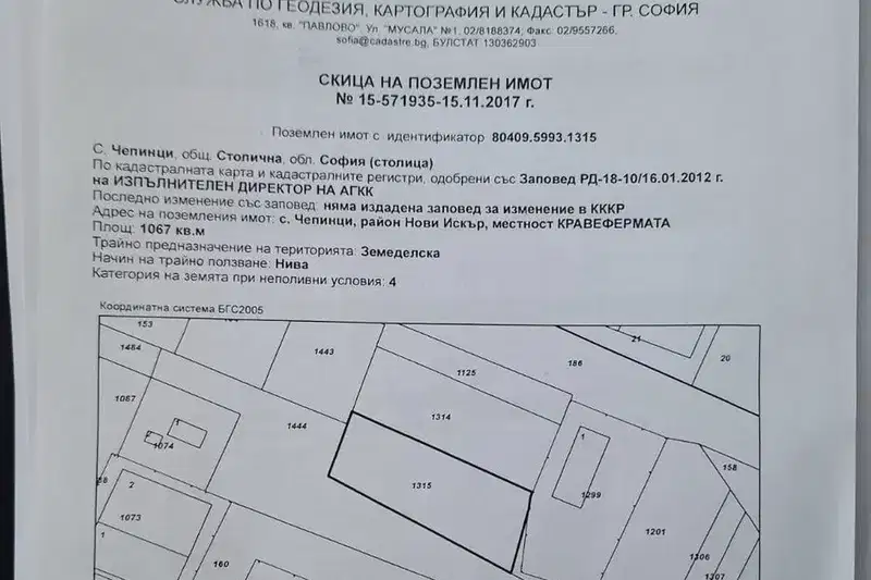 Plot in Chepinci