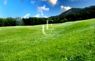 Парцел в с. Иваняне