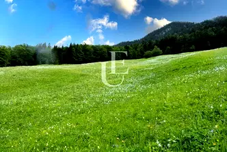 Парцел в с. Иваняне