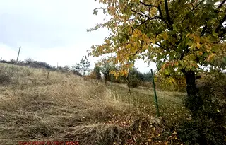 Парцел в Банкя
