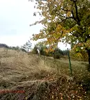 Парцел в Банкя