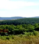 Парцел в Банкя