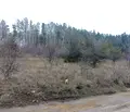Снимка 3 — Парцел в Банкя