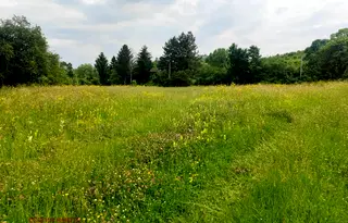 Парцел в Банкя