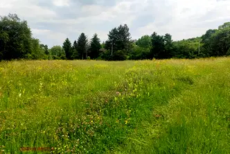 Парцел в Банкя